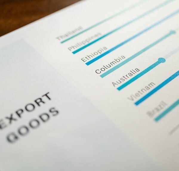 business overview of entities