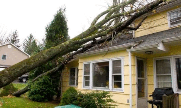 Mixed Loads Are What Blow Up A Storm Cleanup Budget
