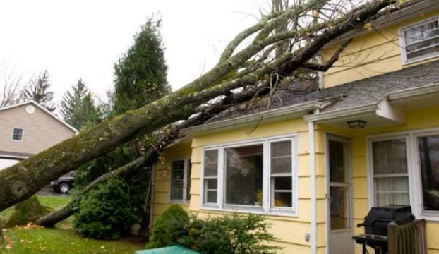Mixed Loads Are What Blow Up A Storm Cleanup Budget